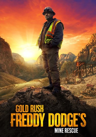 La fiebre del oro: salvando las minas