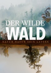 Der wilde Wald