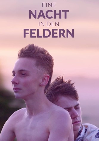 Eine Nacht in den Feldern
