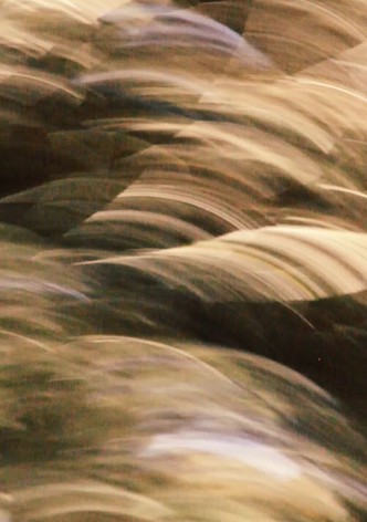 brushstrokes