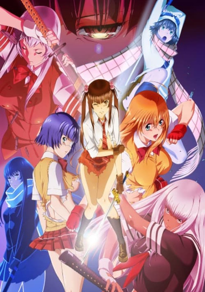 Where to watch Ikki Tousen TV series streaming online?