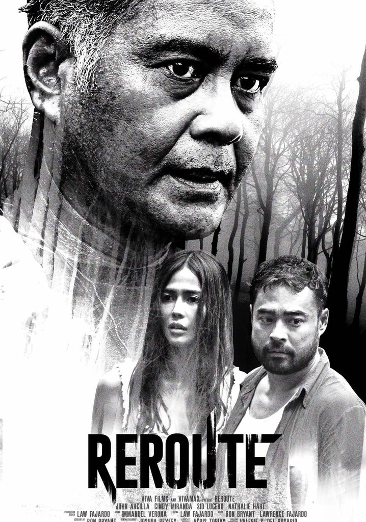 Reroute streaming: where to watch movie online?