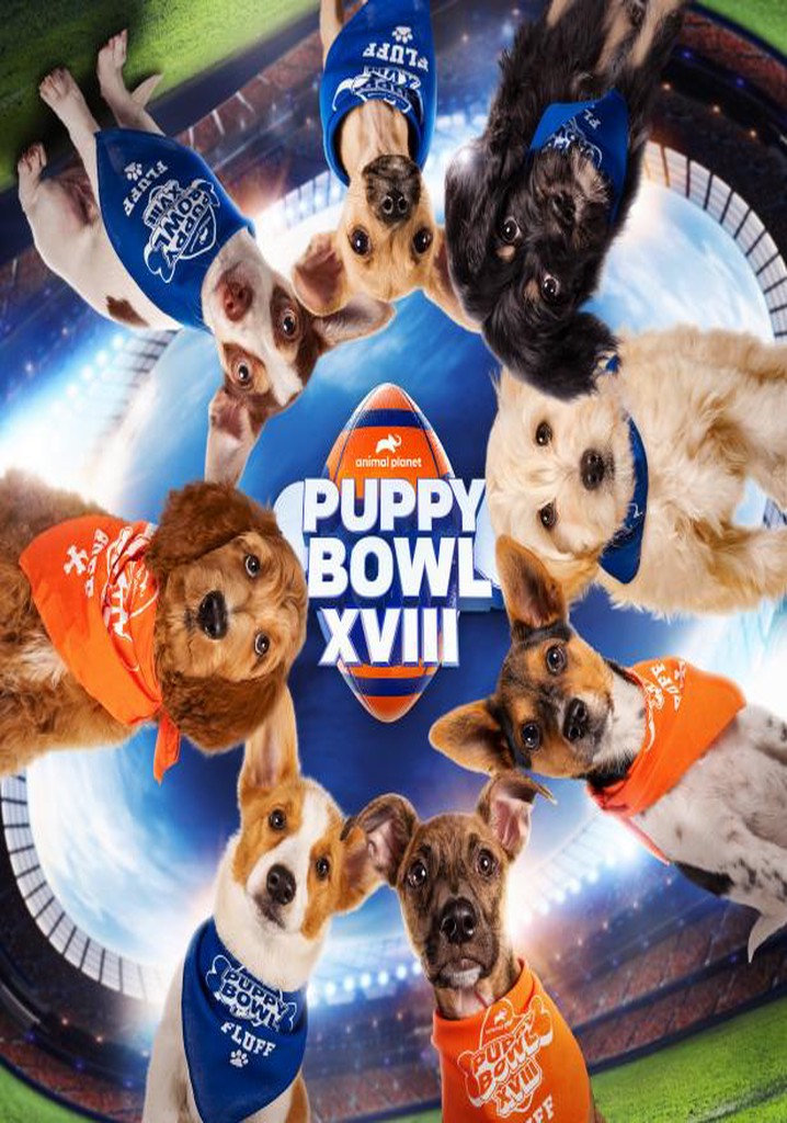 Puppy Bowl XVIII streaming: where to watch online?