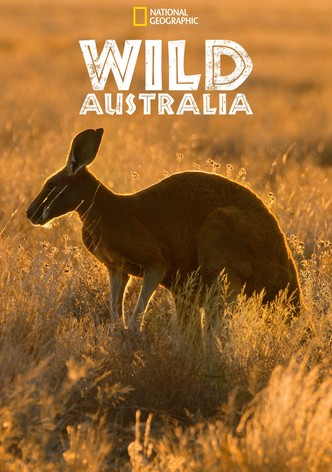 Wild Australia