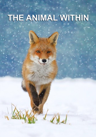 Tierische Superhelden