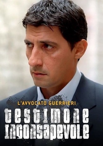 L'avvocato Guerrieri