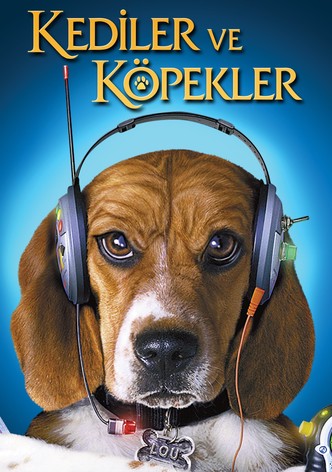 Kediler ve Köpekler