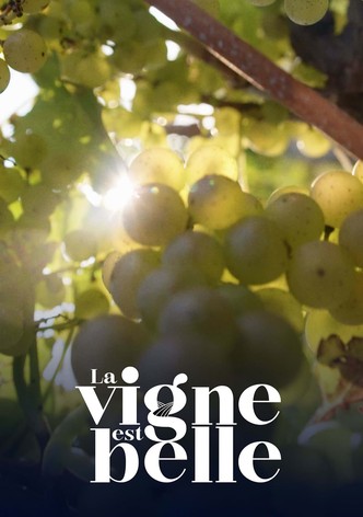 La vigne est belle