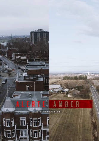 Alerte amber : le documentaire