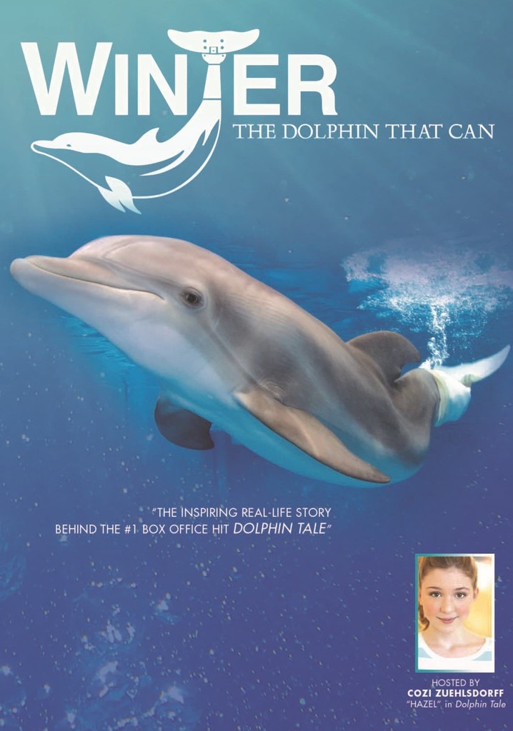 Winter, the Dolphin That Can