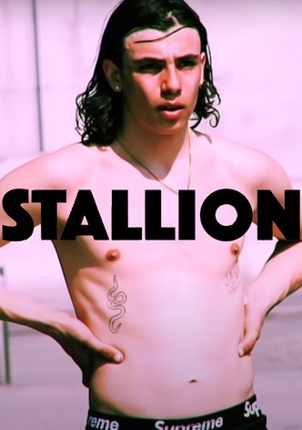 STALLION