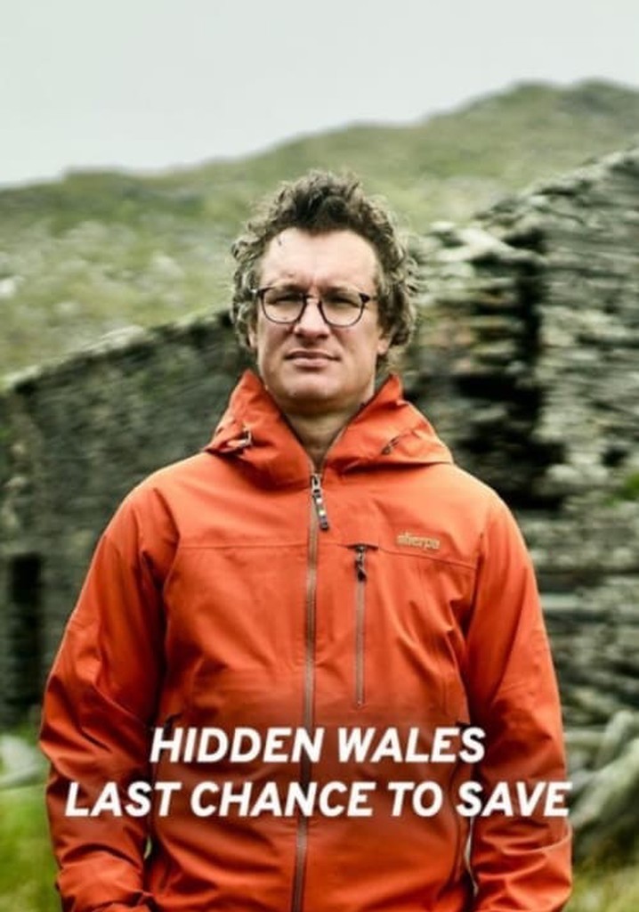 Hidden Wales: Last Chance to Save