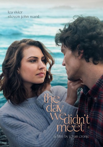 The Day We Didn't Meet