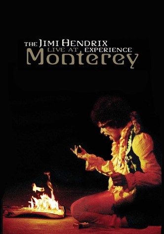 The Jimi Hendrix Experience: Live at Monterey