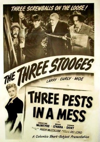 Three Pests in a Mess