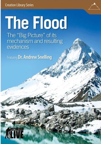 The Flood: The Big Picture of Its Mechanism and Resulting Evidences