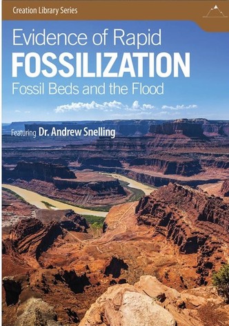 Evidence of Rapid Fossilization