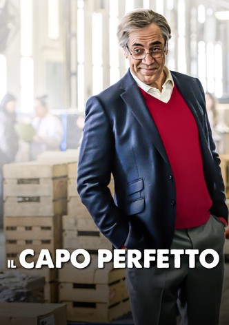 Il capo perfetto