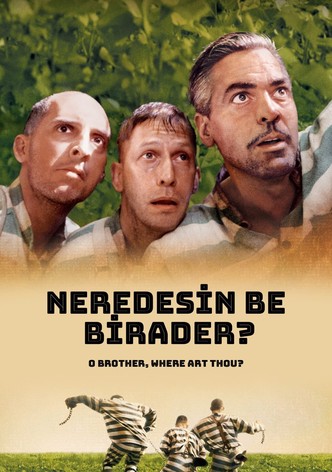 Neredesin Be Birader?