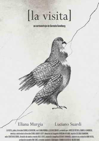 La visita