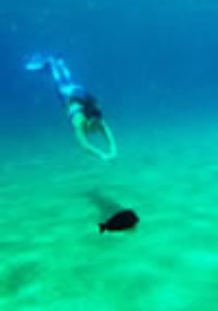 DER SCHWIMMER UND DIE MEERJUNGFRAU