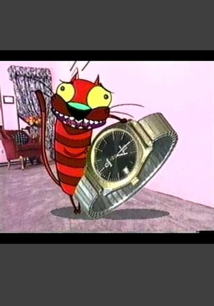 Hector the Get Over Cat