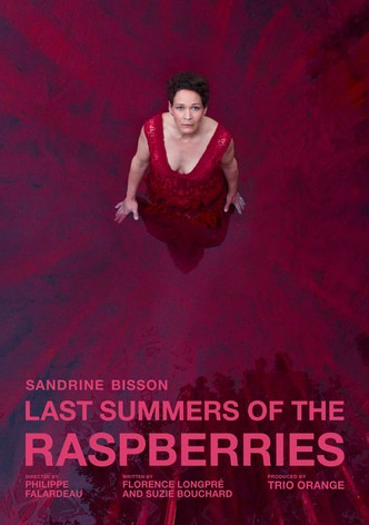 Last Summers of the Raspberries