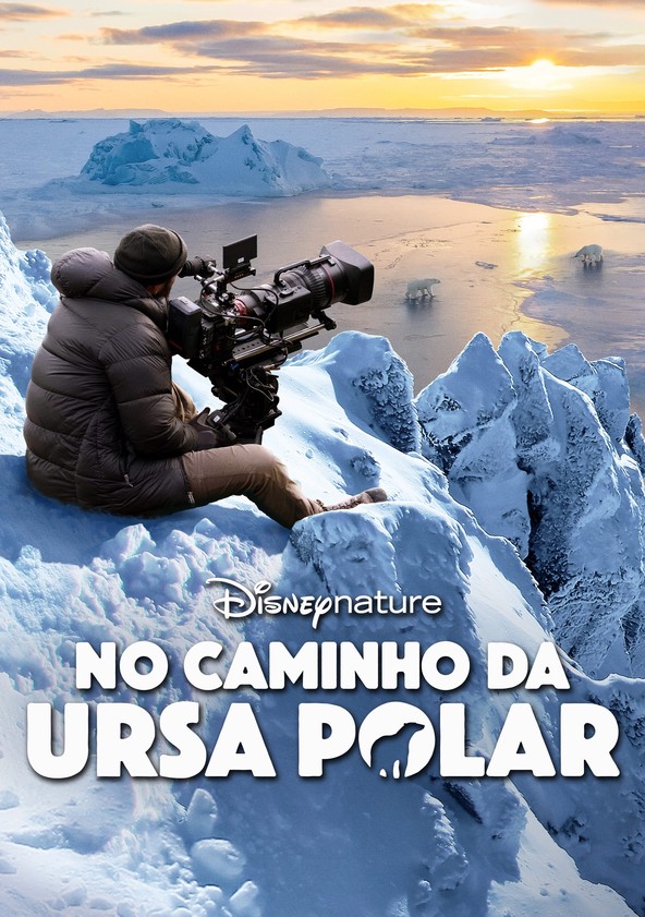 POLAR - RESUMO DO FILME (SEM SPOILER) 