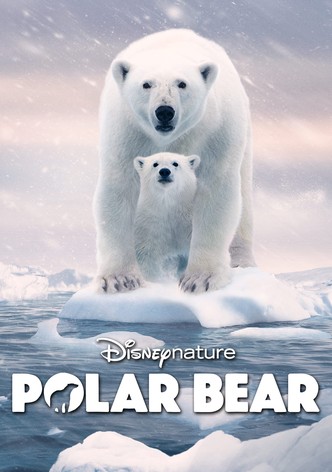 Polar Bear