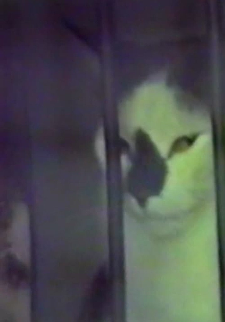 Rush - Voyage à Moscou