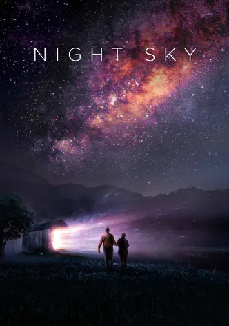 Night Sky poster