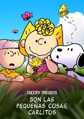 Snoopy presenta: Son las pequeñas cosas, Carlitos