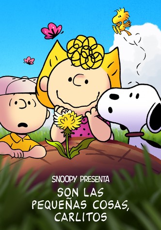 Snoopy presenta: Son las pequeñas cosas, Carlitos