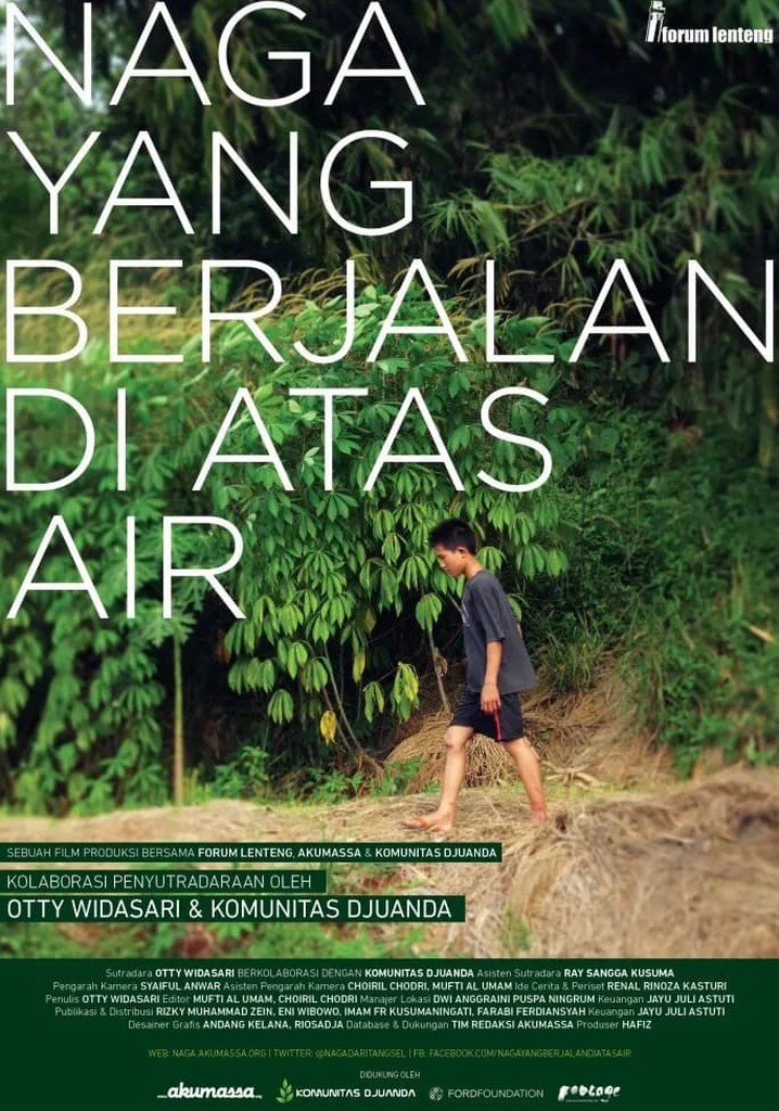 The Dragon Who Walks on the Water