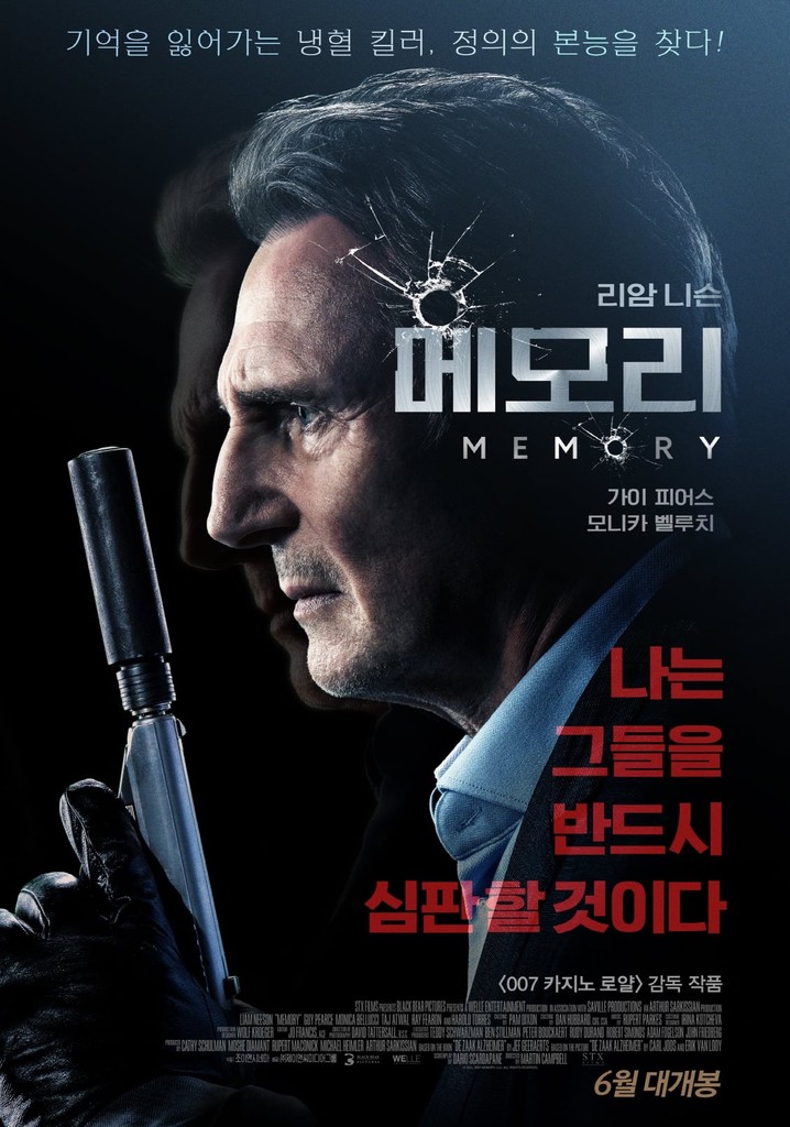 메모리 - 액션, 범죄, 스릴러 핵심 내용 요약 이미지