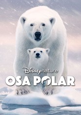 Osa Polar