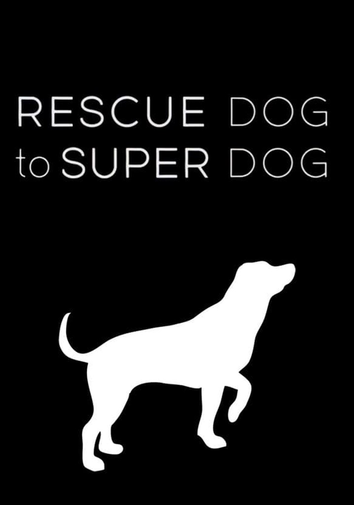 Rescue dog to super 2024 dog