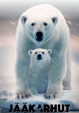 Jääkarhut
