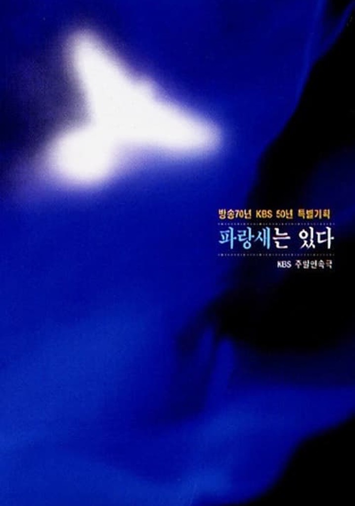 파랑새는 있다 스트리밍으로 보는 곳