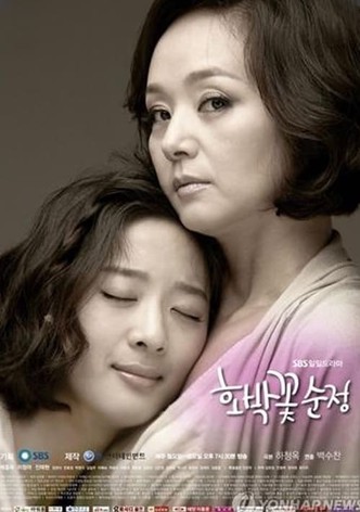 호박꽃 순정