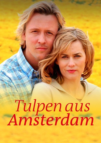 Tulpen aus Amsterdam