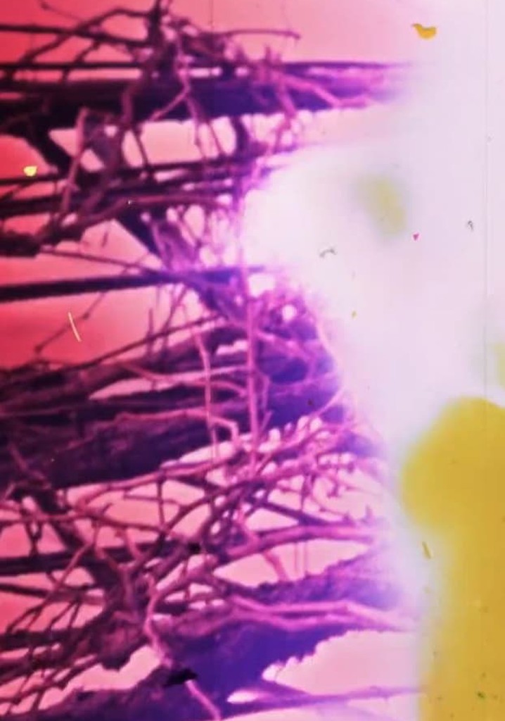 Granular Film - Beirut