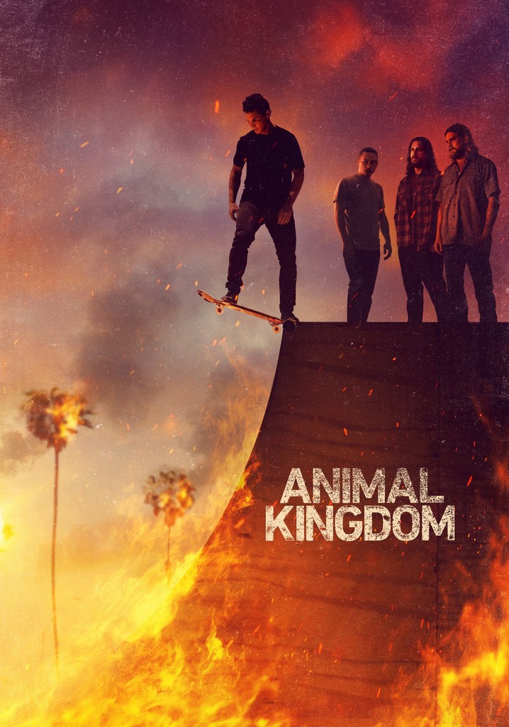 Animal kingdom season 4 amazon prime free sale