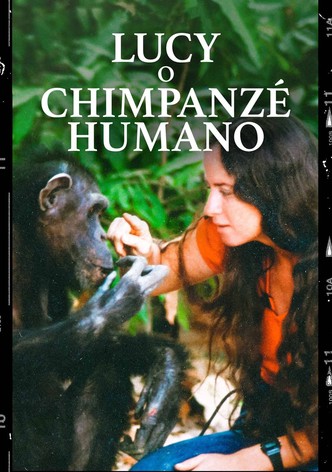 Lucy, O Chimpanzé Humano