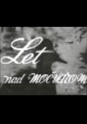 Flight Above the Marshes