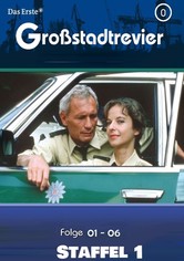 Großstadtrevier - Staffel 1