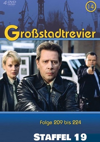 Staffel 19