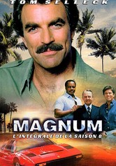 Magnum - Saison 8