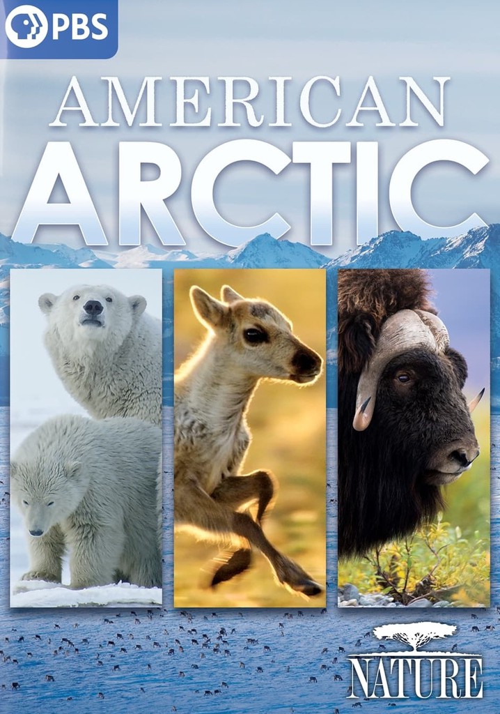 Nature: American Arctic
