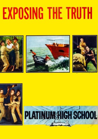 Platinum High School